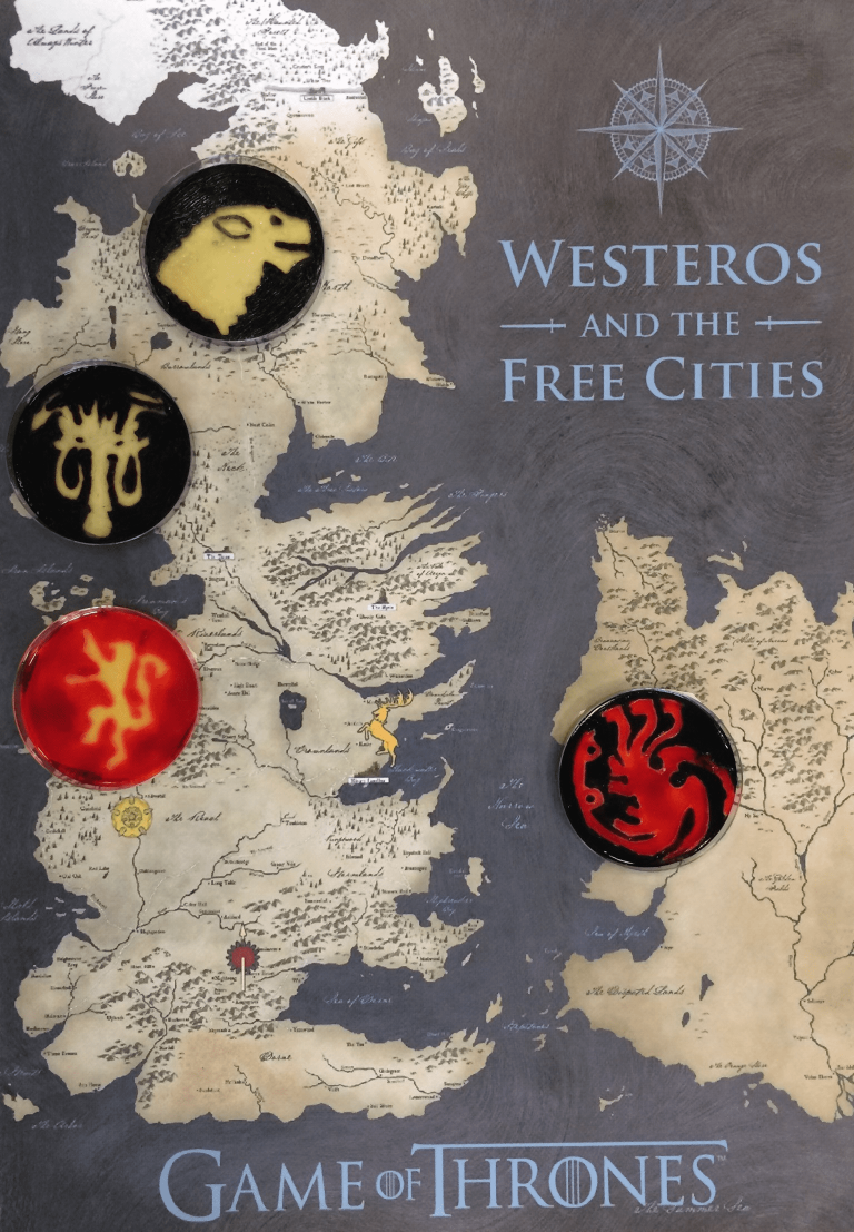 Houses of westeros - Post-Bac ( 33 )