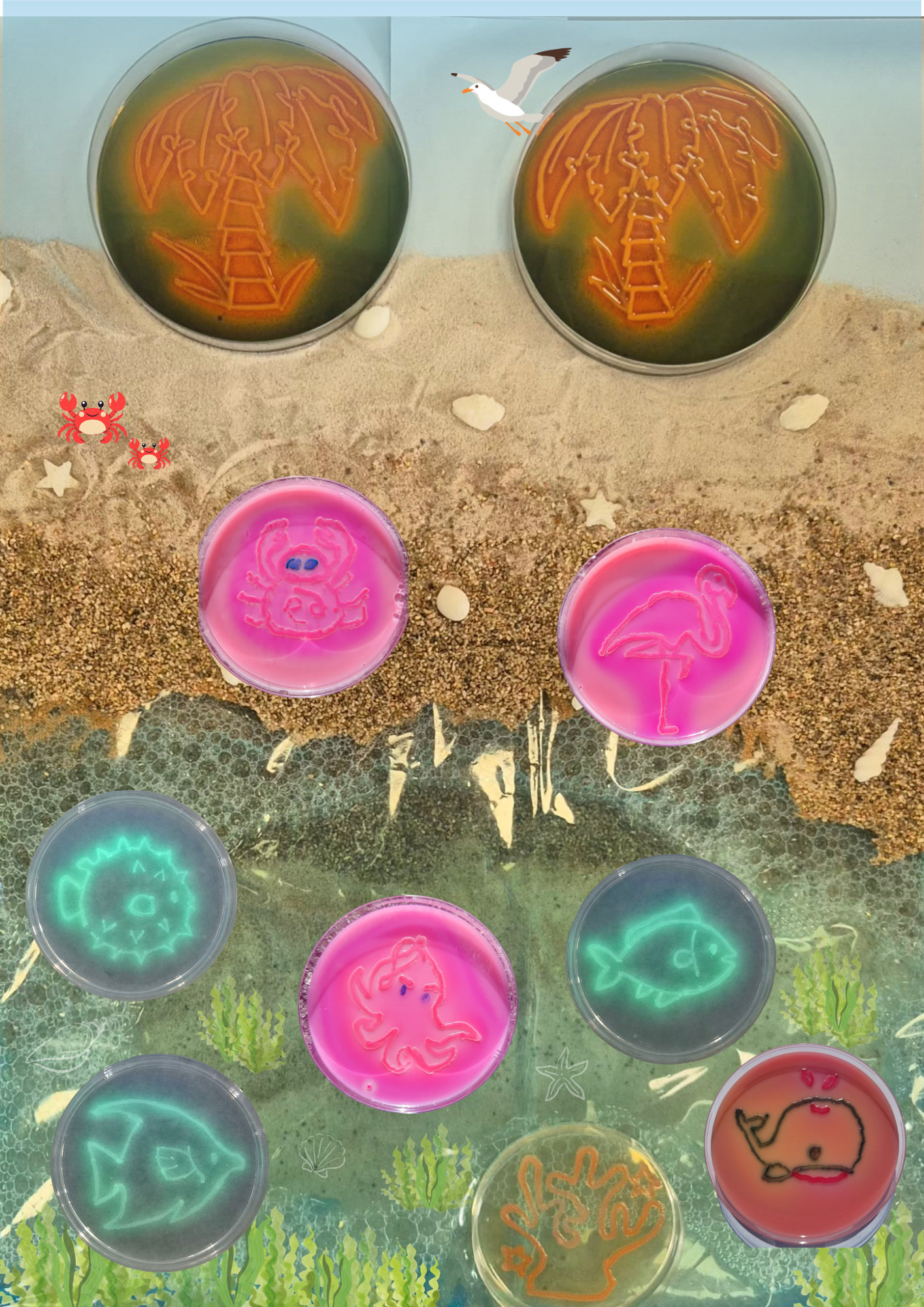Immersion tropicale
