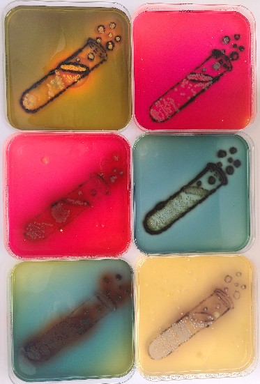 Agar Pop'art